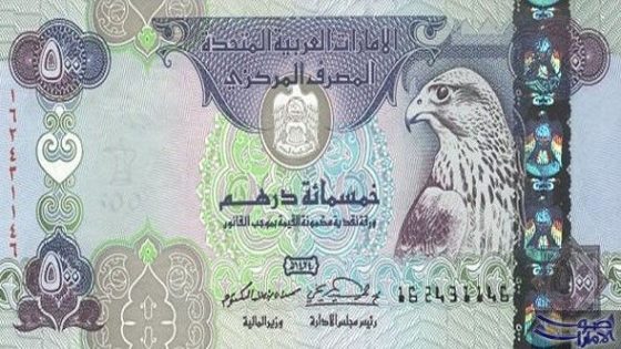 تعرف علي 1000 درهم إماراتي كم جنيه مصري في السوق السوداء اليوم في مصر