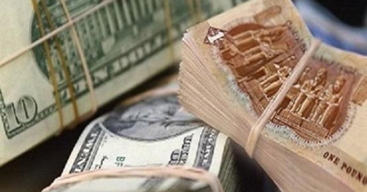 سعر الدولار اليوم في السوق السوداء 29/11/2023 امام الجنيه المصري