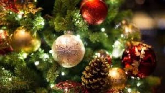 اجمل صور شجرة الكريسماس 2024 Christmas