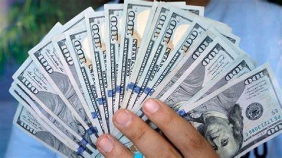 سعر الدولار اليوم في البنوك المصرية اليوم الأحد