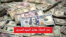  سعر الدولار اليوم مقابل الجنيه المصري الاربعاء