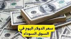 سعر الاخضر اليوم امام الجنيه المصري