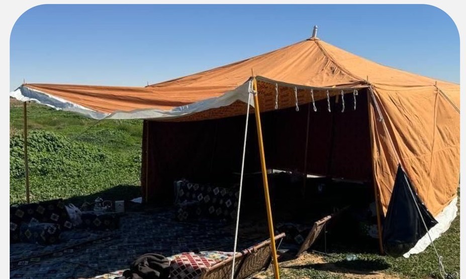 غرامة التخييم في الغابات