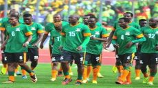 مباراة زامبيا وتنزانيا في كأس الأمم الأفريقية