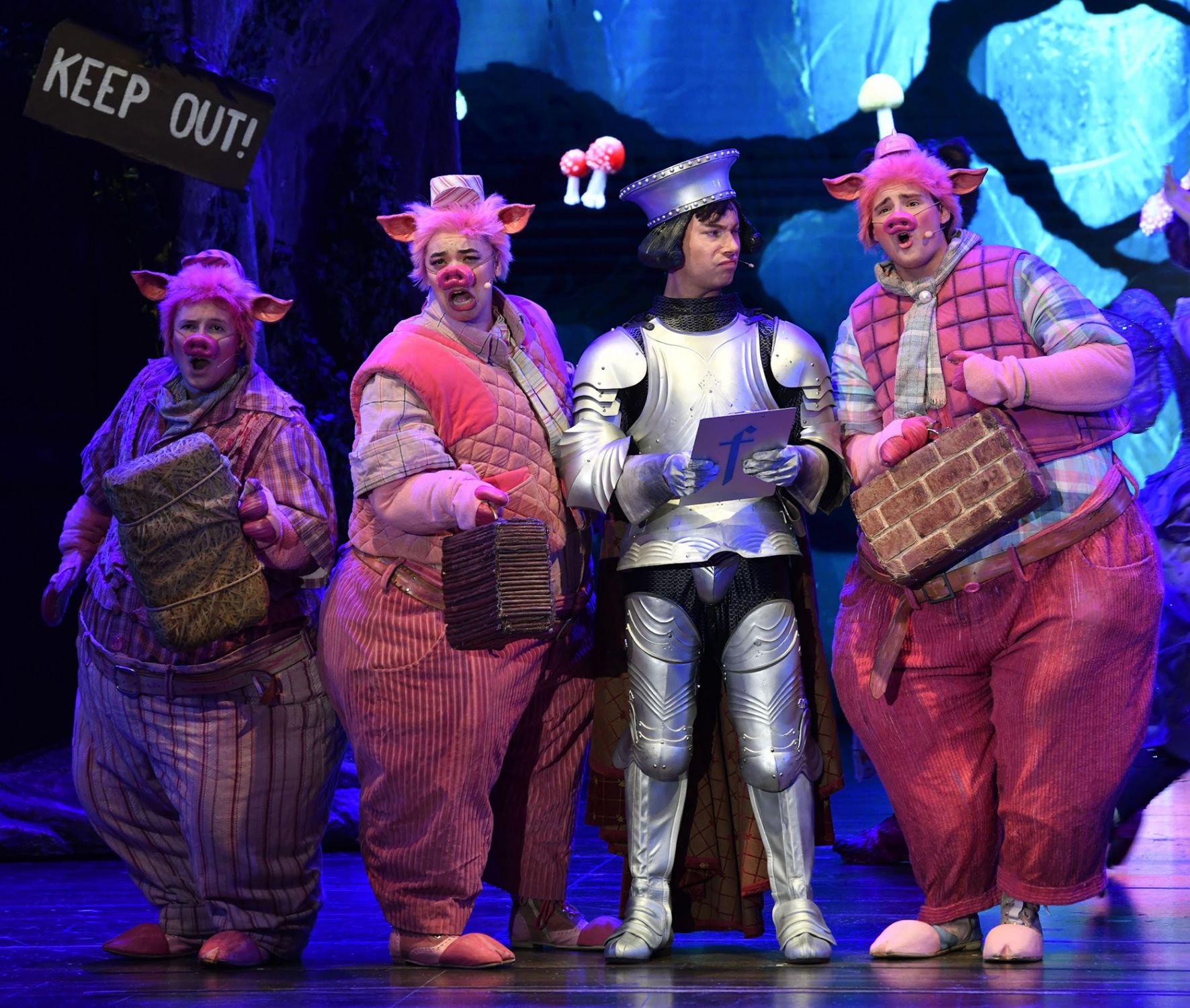 حجز تذاكر مسرحية ميوزيكال