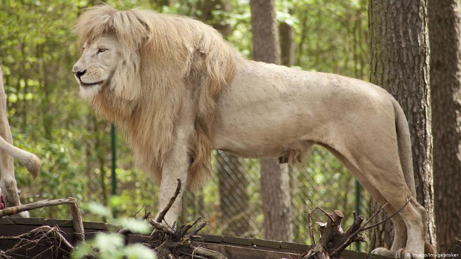 دعوة قضائية ضد أسد مسلم