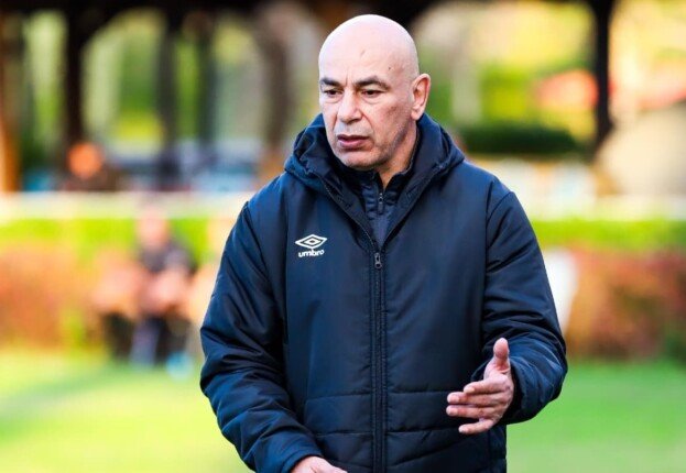 رسميًا حسام حسن مديرًا فنيًا