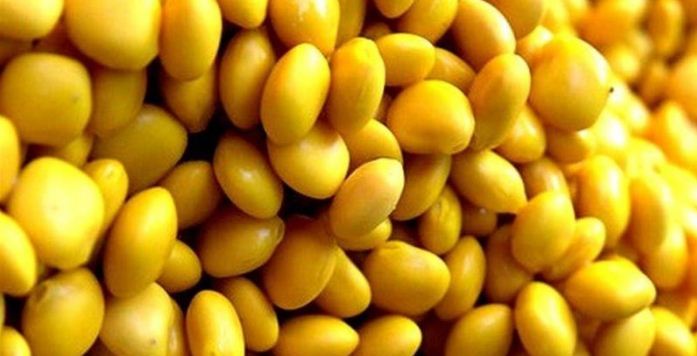 كويتي يكشف نوع شهير من الطعام