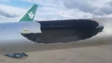 طائر يثقب جناح طائرة سعودية